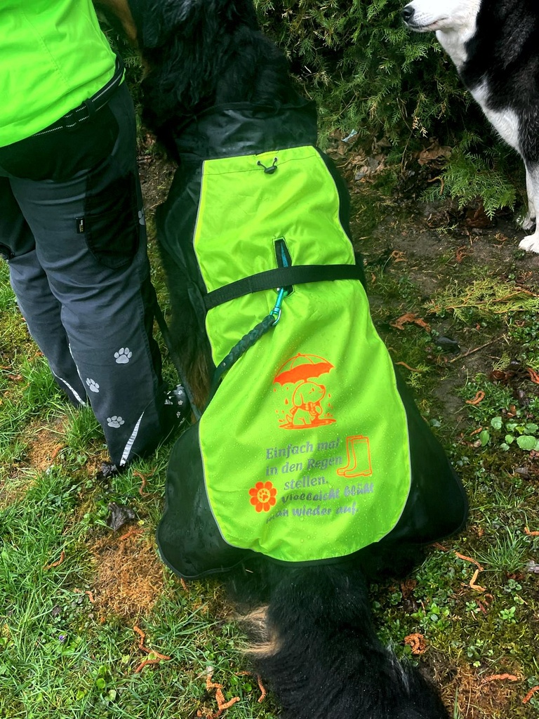 Regenmantel für Hunde
